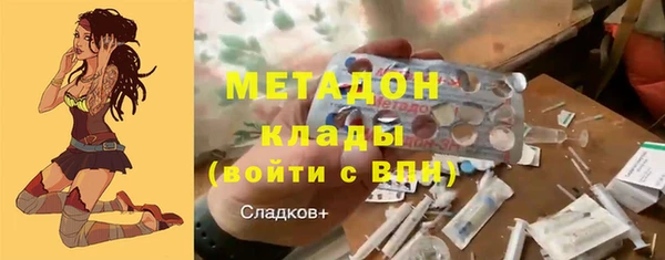 индика Краснотурьинск