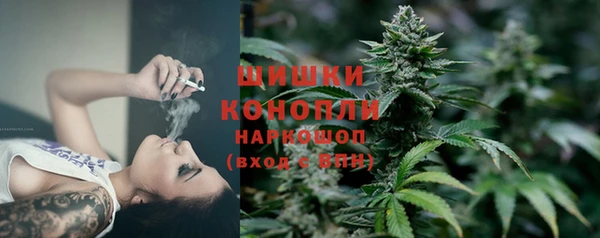 индика Краснотурьинск