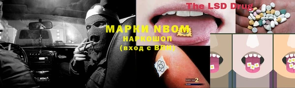 индика Краснотурьинск