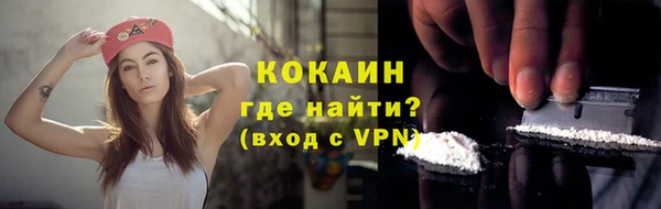 индика Краснотурьинск