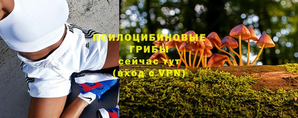 молекула духа Костерёво