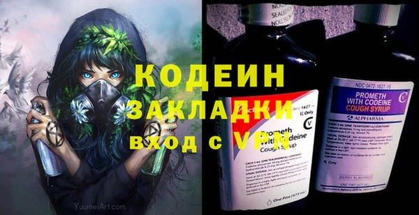 индика Краснотурьинск
