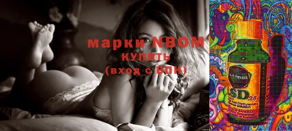 индика Краснотурьинск