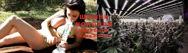 индика Краснотурьинск