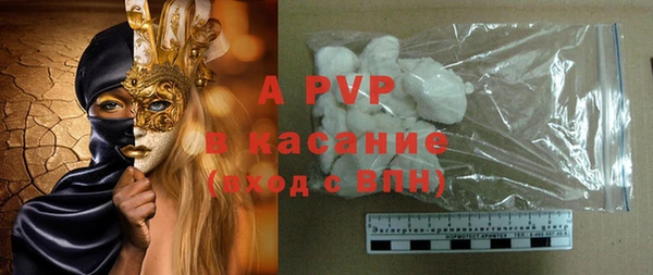 индика Краснотурьинск