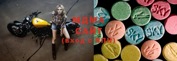 индика Краснотурьинск