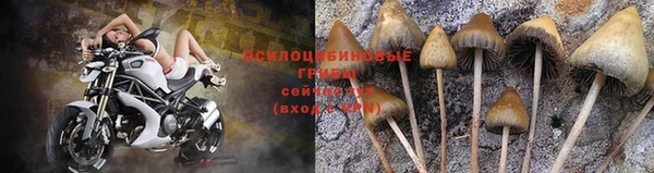 ECSTASY Краснослободск