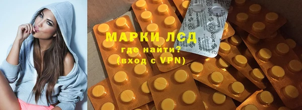 индика Краснотурьинск