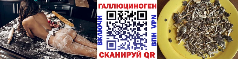 Галлюциногенные грибы прущие грибы  Купить  Курганинск 